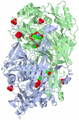 Image Biological Unit 1