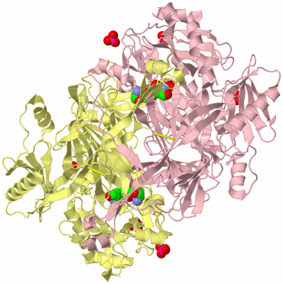 Image Biological Unit 2