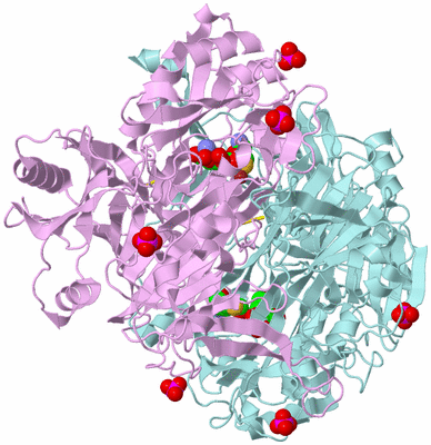 Image Biological Unit 3