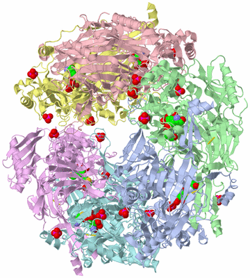 Image Biological Unit 4