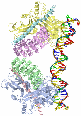 Image Asym./Biol. Unit