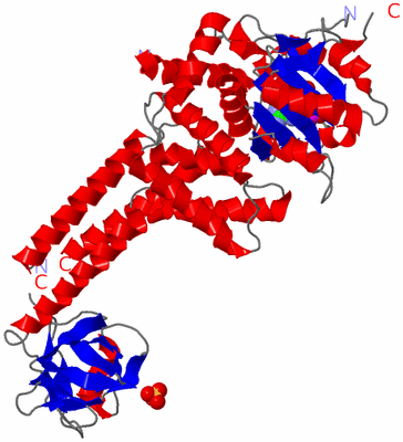 Image Asym./Biol. Unit