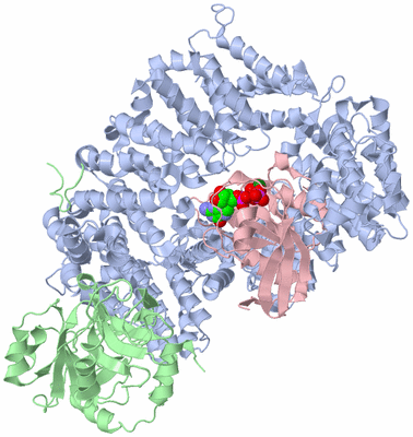 Image Biological Unit 1