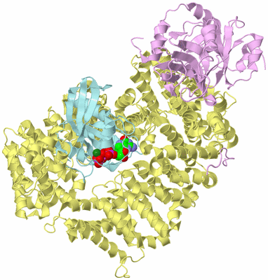 Image Biological Unit 2