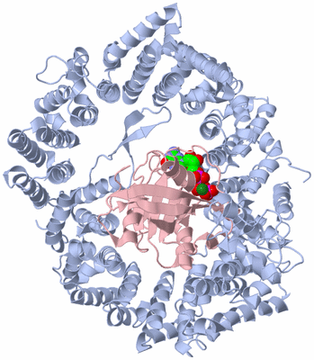 Image Asym./Biol. Unit