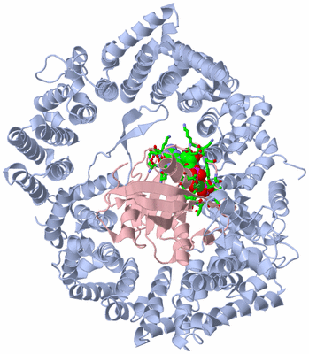 Image Asym./Biol. Unit - sites