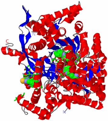 Image Asym. Unit - sites