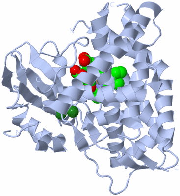 Image Biological Unit 1