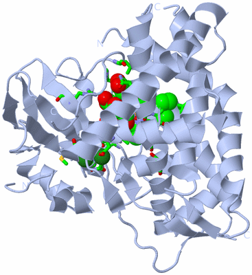 Image Biol. Unit 1 - sites