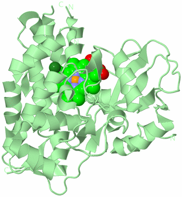 Image Biological Unit 2