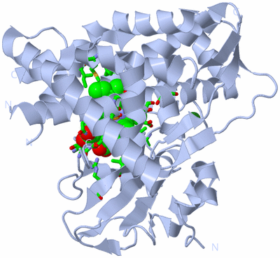 Image Biol. Unit 1 - sites