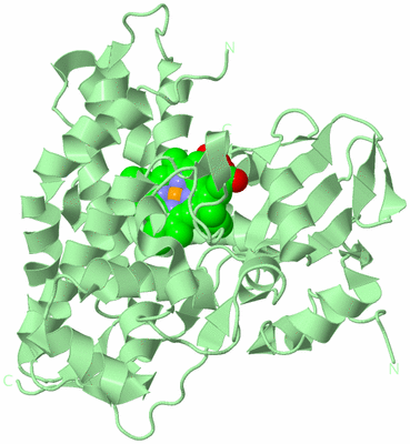 Image Biological Unit 2