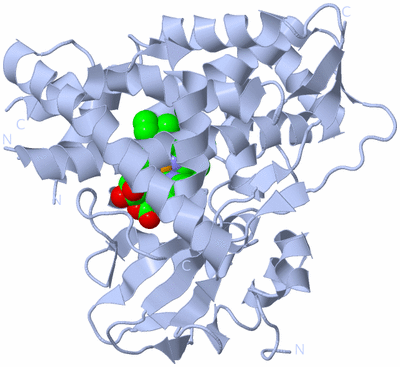 Image Biological Unit 1