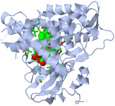 Image Biol. Unit 1 - sites