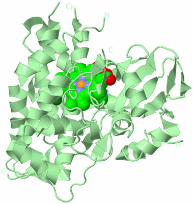 Image Biological Unit 2