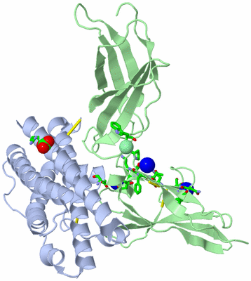 Image Asym./Biol. Unit - sites