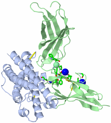 Image Asym./Biol. Unit - sites