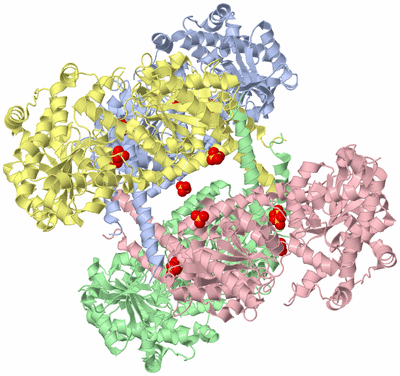 Image Asym./Biol. Unit