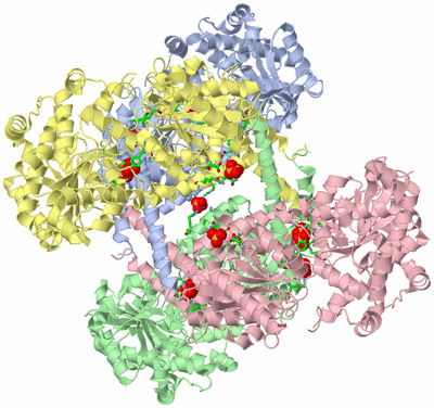 Image Asym./Biol. Unit - sites