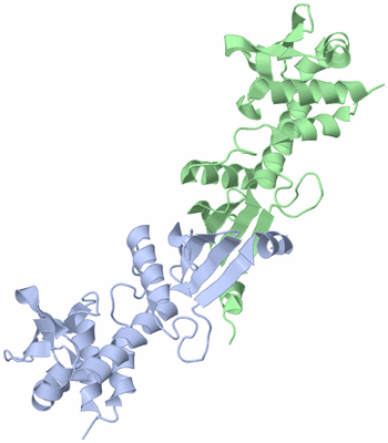 Image Asym./Biol. Unit