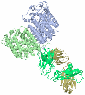 Image Biological Unit 1