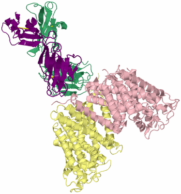 Image Biological Unit 2