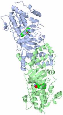 Image Biological Unit 1