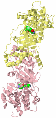 Image Biological Unit 2