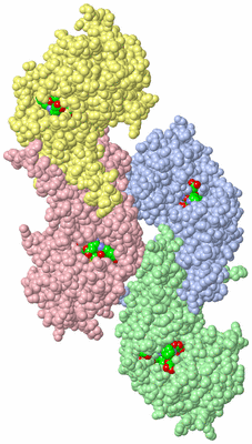 Image Asym. Unit - sites