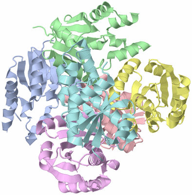 Image Asym./Biol. Unit