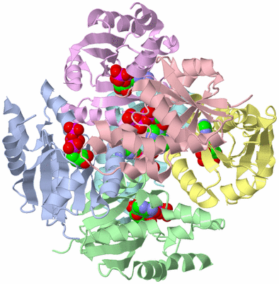 Image Asym./Biol. Unit