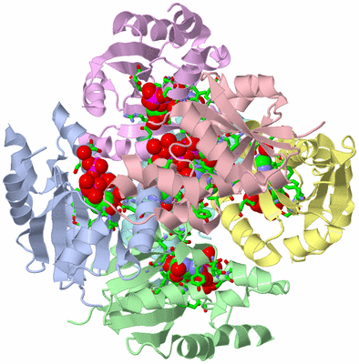 Image Asym./Biol. Unit - sites