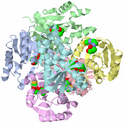 Image Asym./Biol. Unit