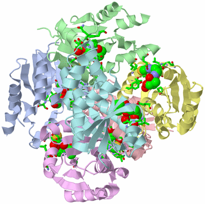 Image Asym./Biol. Unit - sites