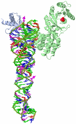 Image Asymmetric Unit