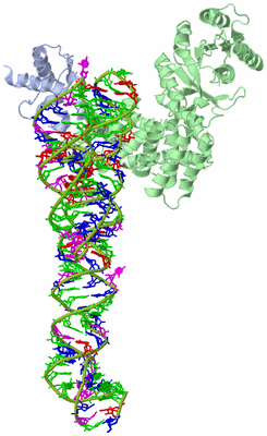 Image Biological Unit 1