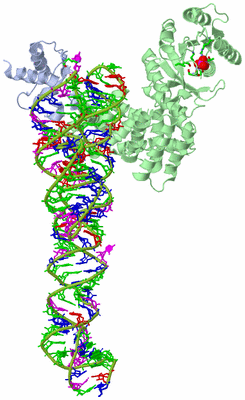 Image Asym. Unit - sites