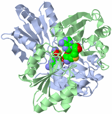 Image Asym./Biol. Unit