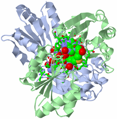 Image Asym./Biol. Unit - sites