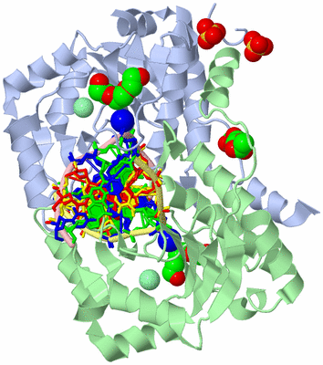 Image Asym./Biol. Unit