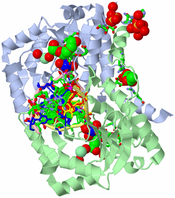 Image Asym./Biol. Unit - sites