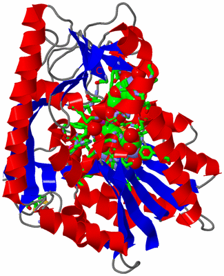 Image Asym./Biol. Unit - sites