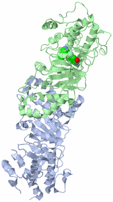 Image Biological Unit 1