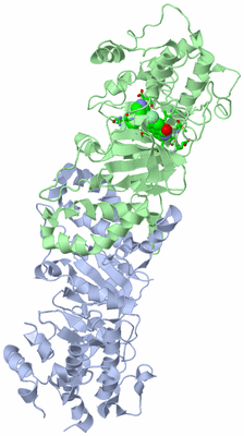 Image Biol. Unit 1 - sites