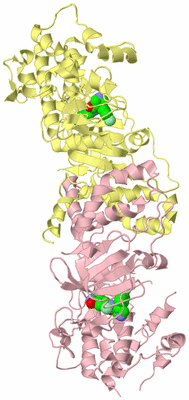 Image Biological Unit 2