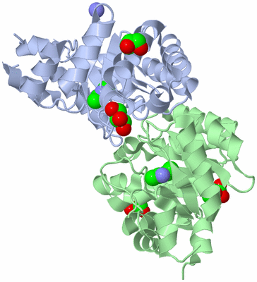 Image Asym./Biol. Unit