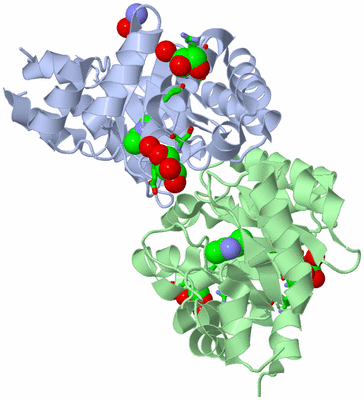 Image Asym./Biol. Unit - sites