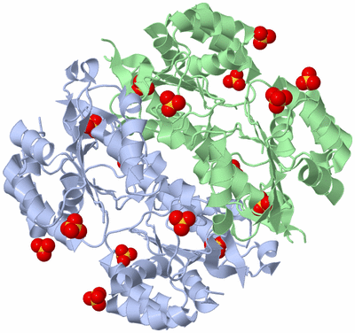 Image Biological Unit 3