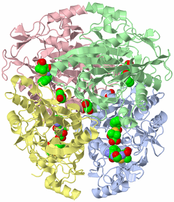 Image Asym./Biol. Unit