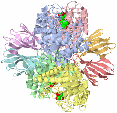 Image Asym./Biol. Unit